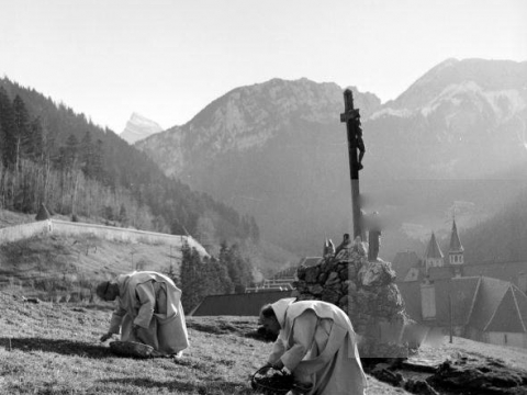 1953 RACCOLTA ERBE PER CHARTREUSE