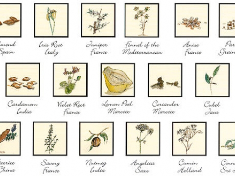 BOTANICALS
