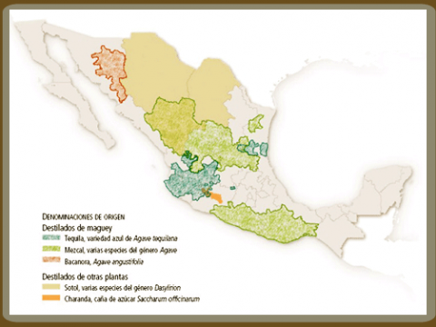 DISTILLATI MESSICO MAPPA