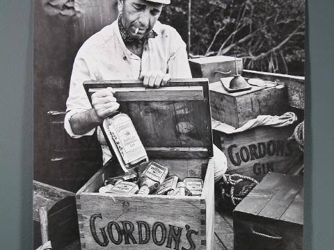 GORDON'S GIN