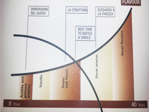 GRAFICO DEL GUSTO 