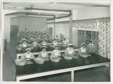 INDUSTRIA DOLCIARIA STREGA ALBERTI 