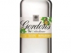 ELDERFLOWERS GORDON'S GIN