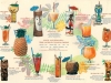 HAWAIIAN DRINKS